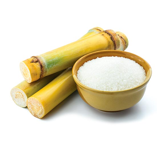 extraction of sucrose from sugarcane